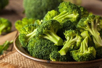 Broccoli 101: Nutrition, Health Benefits, and Potential Downsides