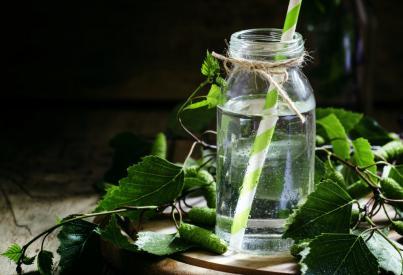 What is Birch Water?