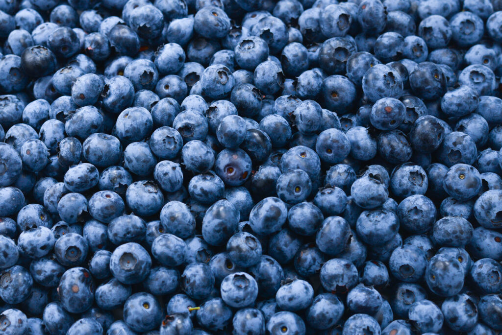 Blueberries Origin, Nutrition, and Benefits