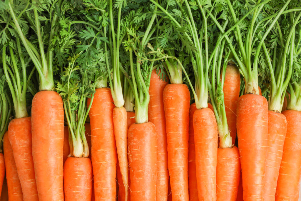 Carrots 101: Know Your Carrots Better