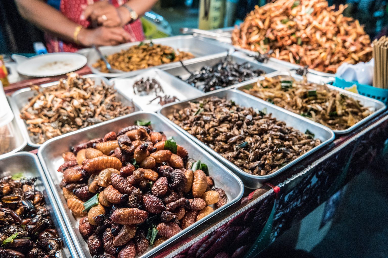 7-most-unusual-foods-in-the-world